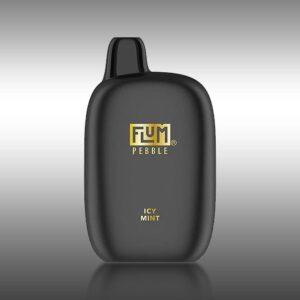 Flum Pebble – Icy Mint